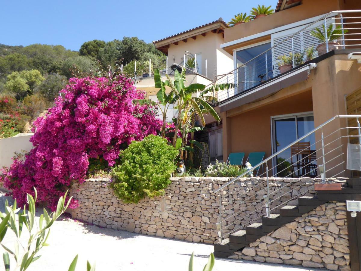 Barbicaj'Alta - Gites Ajaccio  Dış mekan fotoğraf