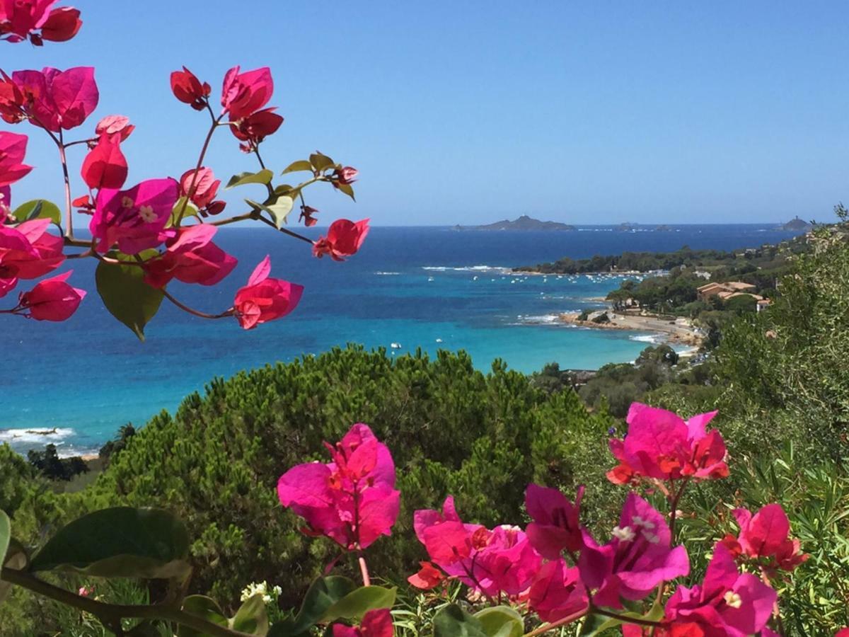 Barbicaj'Alta - Gites Ajaccio  Dış mekan fotoğraf